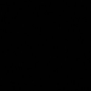 Meet your Posher, Owen